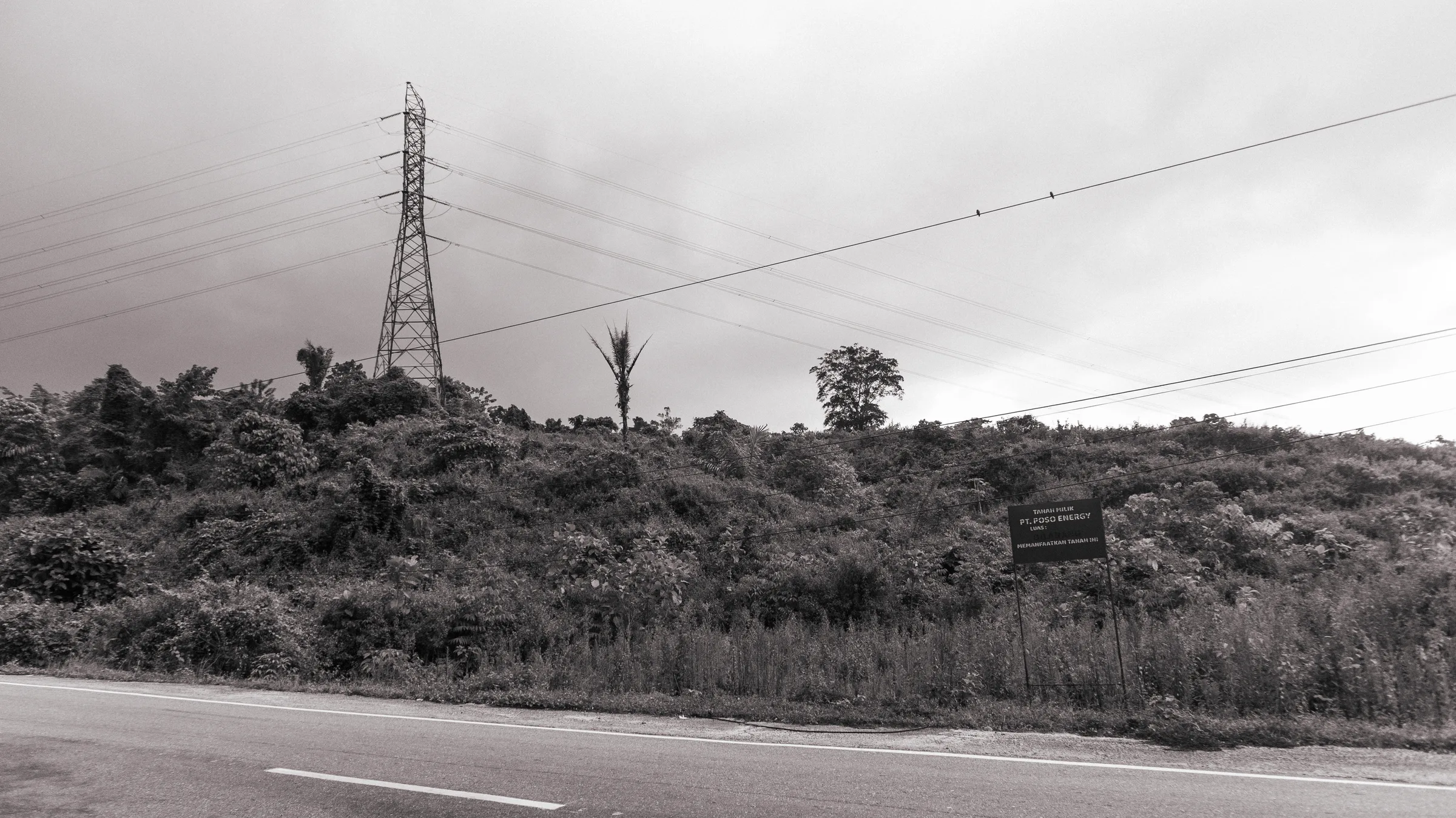 Warning signs of Poso Energy land enclosure, at the roadside from Poso city toward Tentena. Source: personal documentation, July 2026.